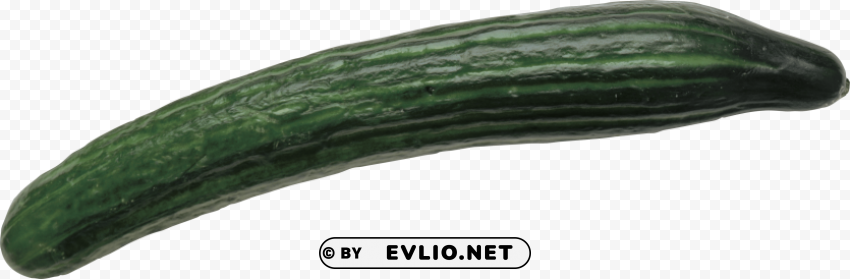 cucumber Transparent PNG photos for projects