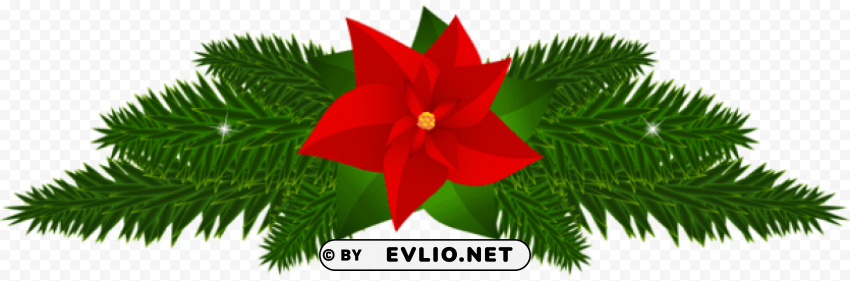 christmas poinsettia decoration Transparent Background Isolation of PNG PNG Images f5ce65b2