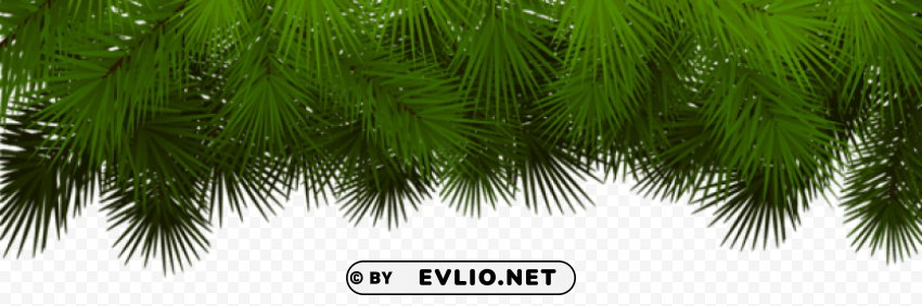 pine branches decoration HD transparent PNG