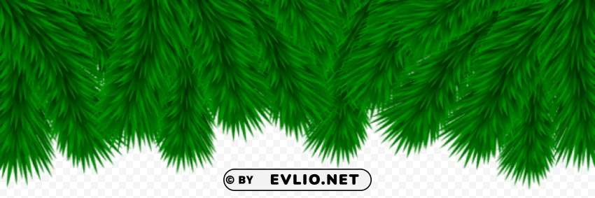 pine branches border High-resolution PNG images with transparency