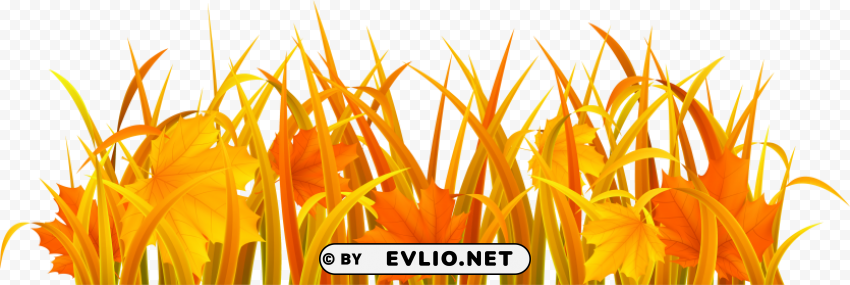 autumn grass HighResolution Isolated PNG Image