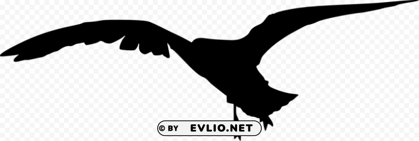 bird silhouette PNG high resolution free