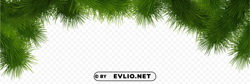 pine deco branches High-resolution PNG images with transparent background