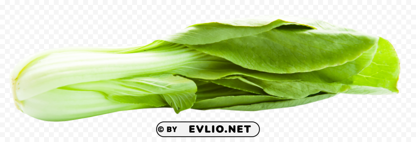 Transparent bok choy Isolated Subject on HighQuality PNG PNG background - Image ID 3a7ca7c0