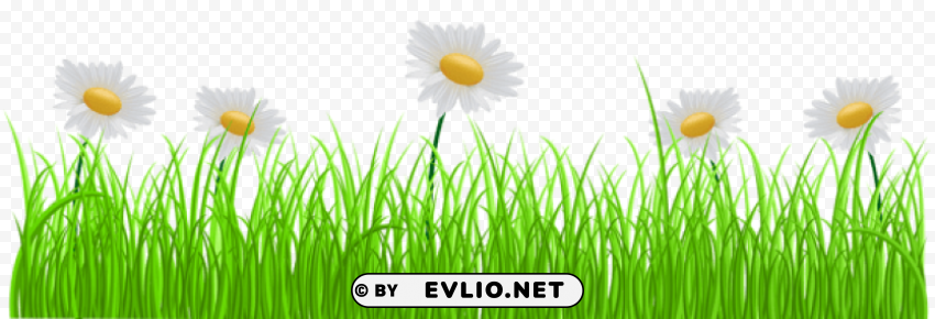 grass transparent Isolated Element with Clear PNG Background