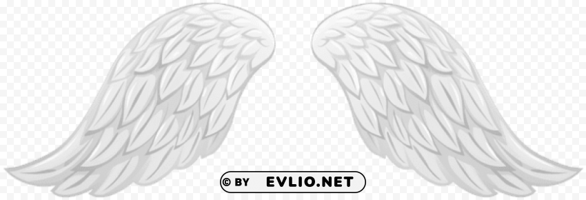 white wings transparent Clear PNG photos