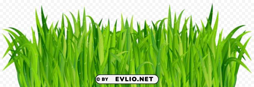 fresh green grass PNG images without subscription