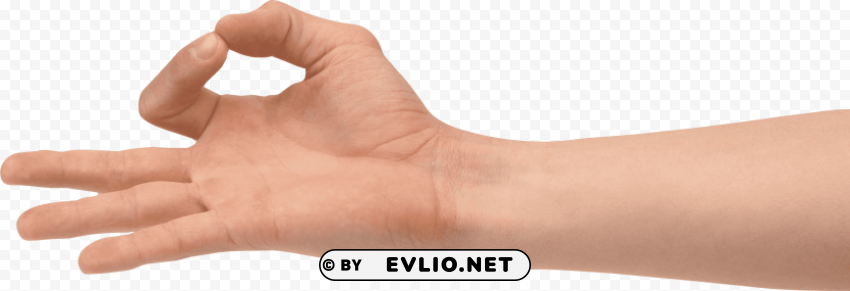 three finger hand Transparent PNG Isolated Design Element