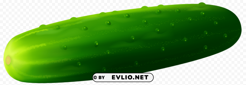 cucumber ClearCut PNG Isolated Graphic