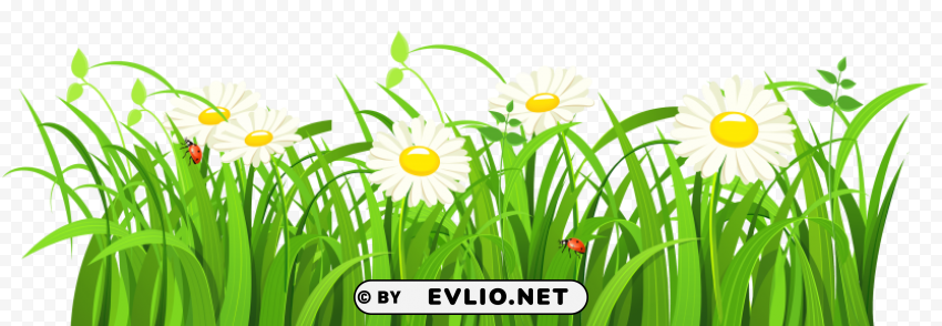 grass vector Free PNG images with alpha channel