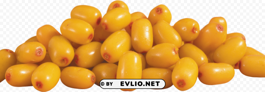 sea buckthorn PNG images with transparent layering