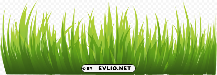 grass HighResolution PNG Isolated on Transparent Background