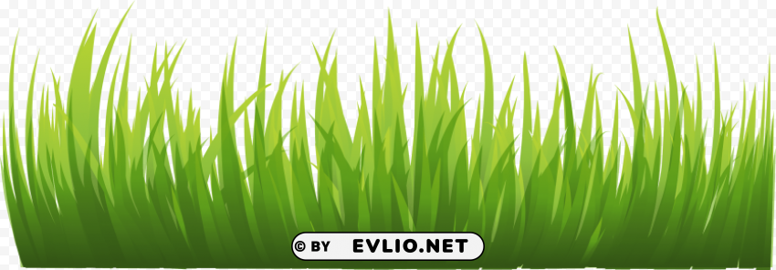 grass HighResolution PNG Isolated on Transparent Background PNG transparent with Clear Background ID 8e06d499