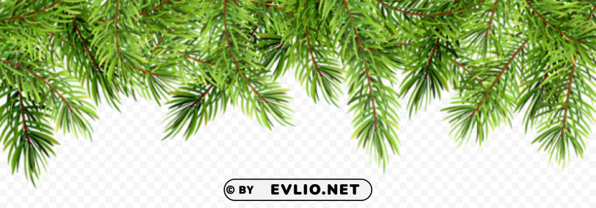 christmas pine decor Clean Background Isolated PNG Object