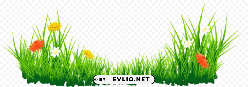 grass PNG images with no watermark