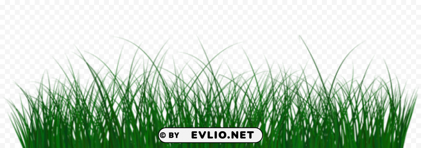 green grass Transparent PNG photos for projects