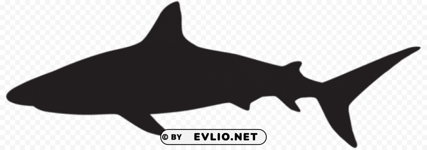 shark silhouette High-resolution transparent PNG images