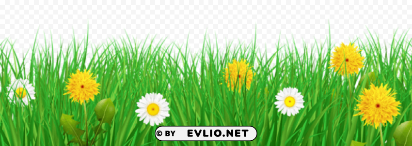 grass and flowers Isolated Element on HighQuality Transparent PNG