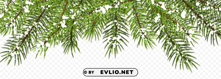 christmas pine branches decor Clean Background Isolated PNG Design