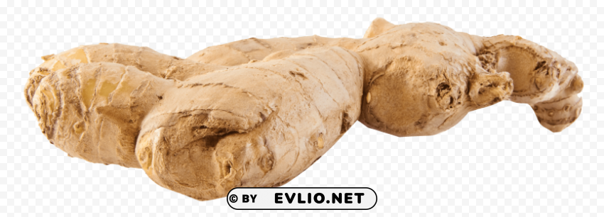 ginger PNG Graphic with Transparent Isolation