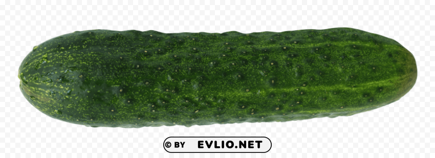 Fresh Cucumber PNG Image with Transparent Isolation