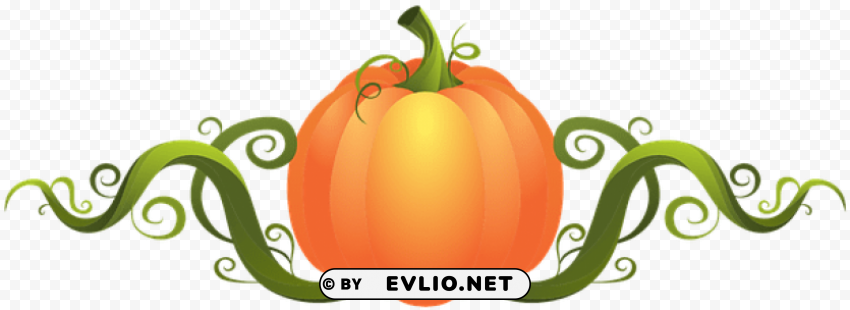 pumpkin Isolated Element on HighQuality Transparent PNG