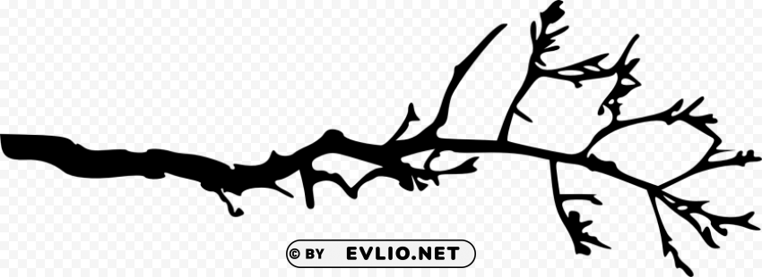 simple tree branch Isolated Graphic Element in HighResolution PNG