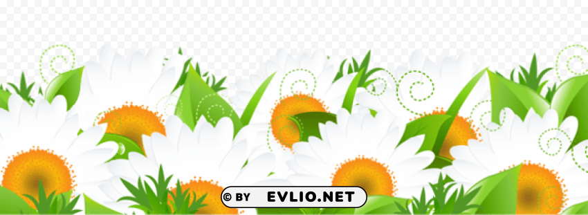 decoration with daisies Transparent PNG Isolated Item with Detail