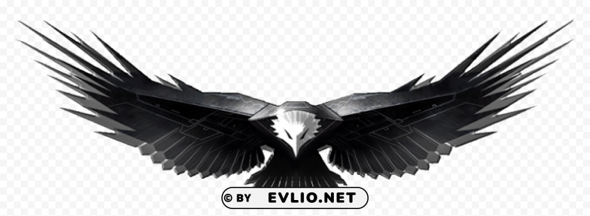 Eagle PNG Images No Background