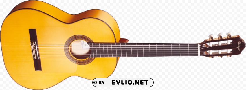 acoustic classic guitar Transparent Background PNG Isolated Graphic