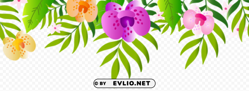 exotic top decoration Transparent PNG images extensive gallery
