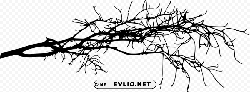 simple tree branch Isolated Element on Transparent PNG