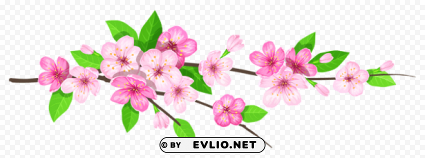 pink spring branch PNG Image with Isolated Element