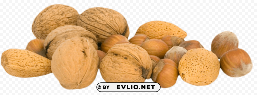 Walnut PNG format with no background