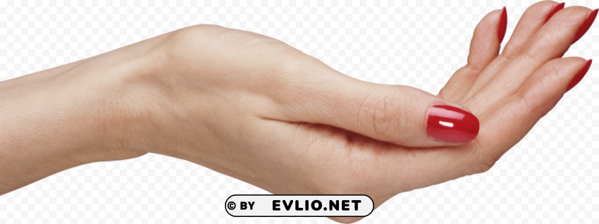 hands PNG Image Isolated on Clear Backdrop