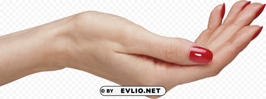 Hands PNG Image Isolated On Clear Backdrop