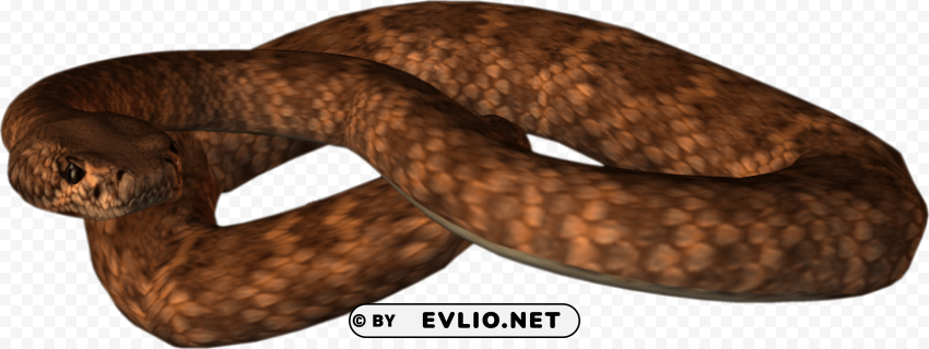 animated snake PNG files with no background free