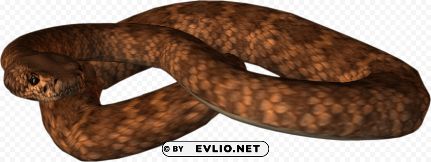 Animated Snake PNG Files With No Background Free