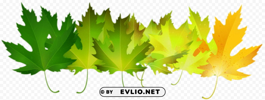 green autumn leaves transparent PNG images with no background assortment
