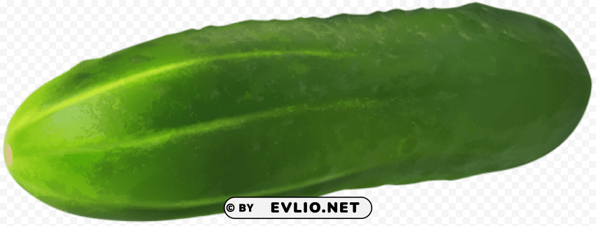 gherkin cucumber Transparent PNG Isolated Graphic with Clarity