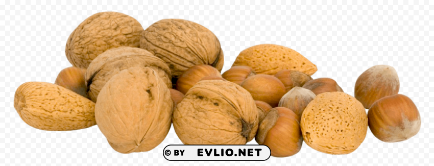 Nuts ClearCut Background PNG Isolated Element