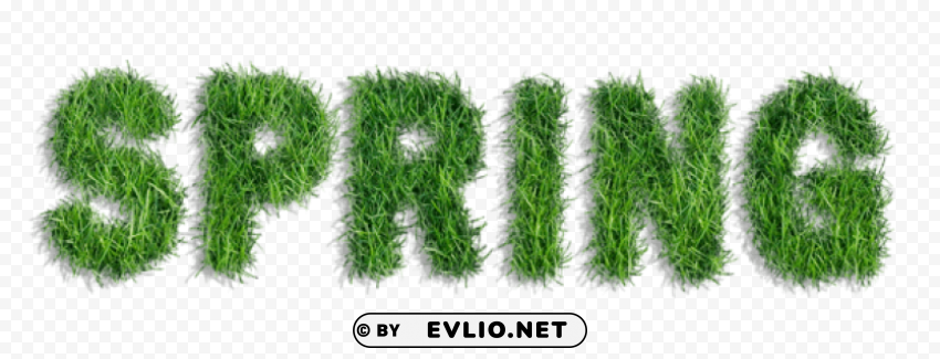 spring of grass PNG transparent images for websites