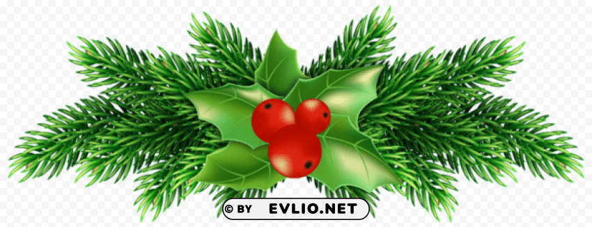 christmas holly pine Free PNG images with transparent layers