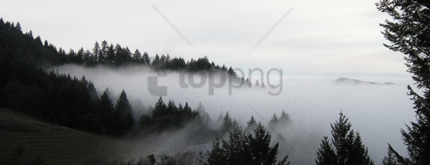 color fog Isolated Subject in Clear Transparent PNG