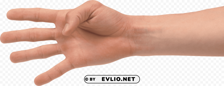 four finger hand Transparent Background PNG Object Isolation