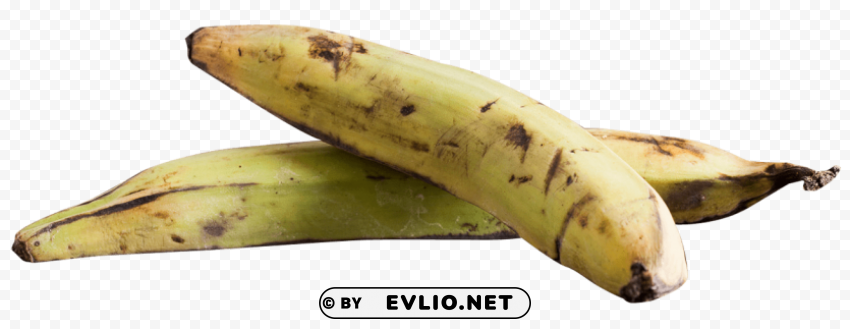 plantain Transparent image PNG images with transparent backgrounds - Image ID 6a7a2cd0