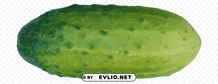 cucumber HighResolution Transparent PNG Isolated Item