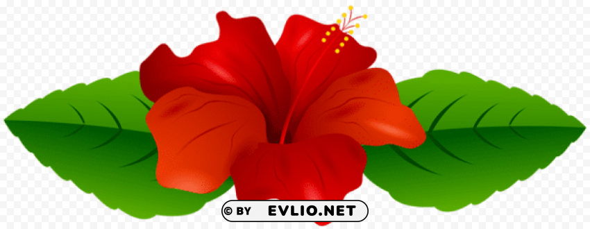 red hibiscus transparent Clear PNG