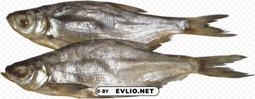 fish Transparent PNG graphics bulk assortment