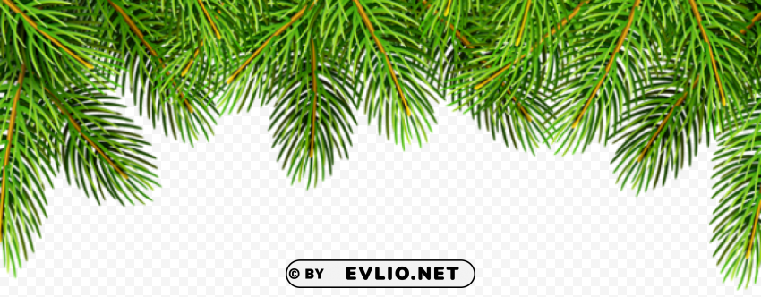 pine branches top border High-quality transparent PNG images comprehensive set